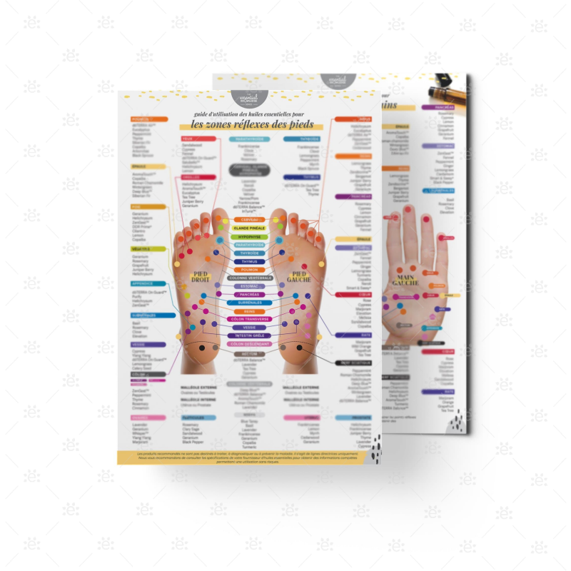 Oil Use Guide For Reflex Points (Foot & Hand):  French
